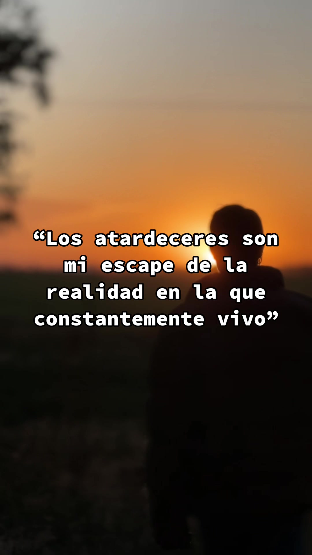 @Franco Destribats