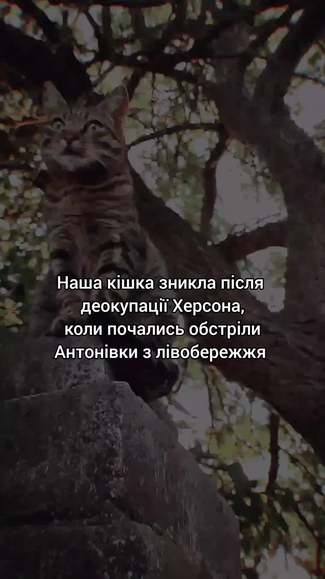 @photobox.ks