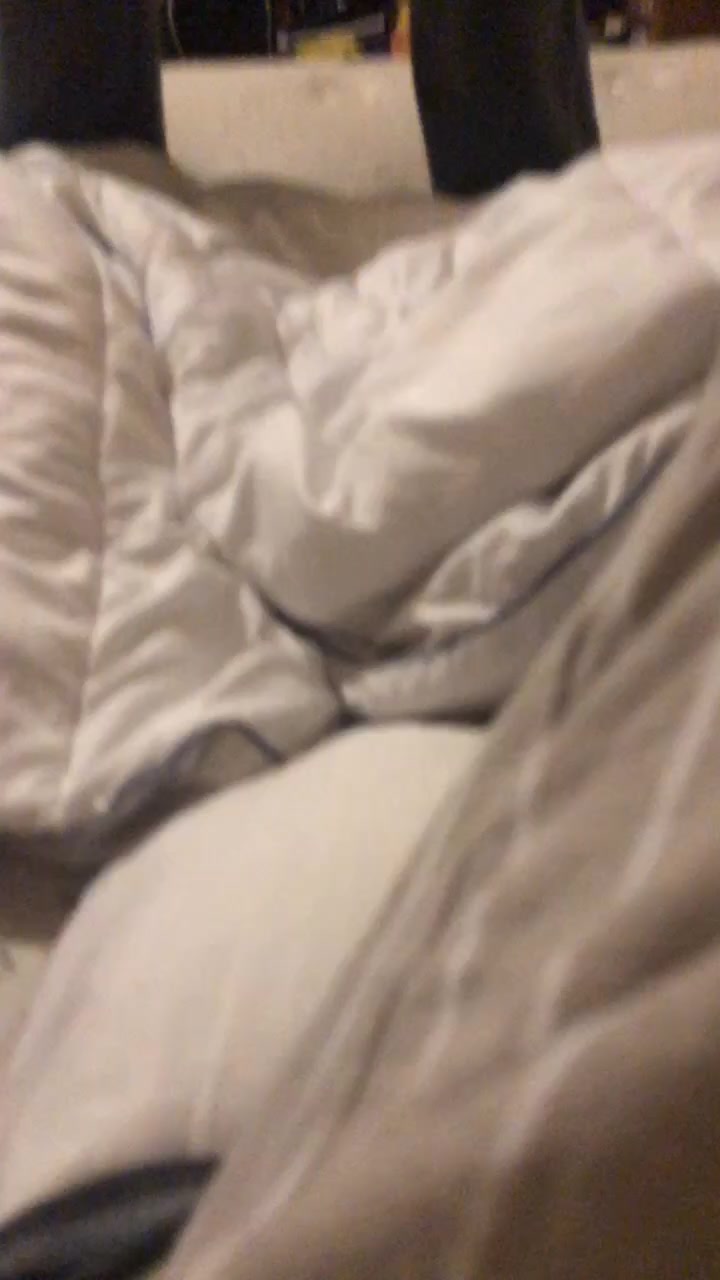 @alcoholicaligator