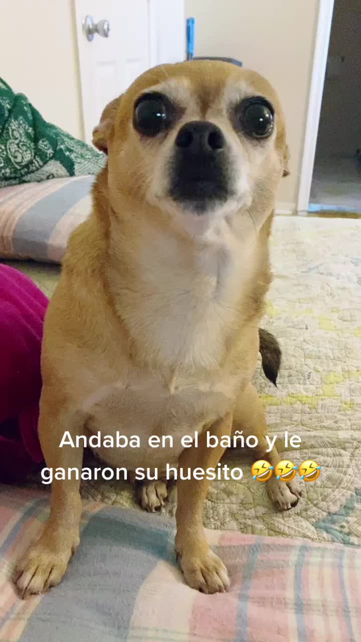 @Negris Alvarez