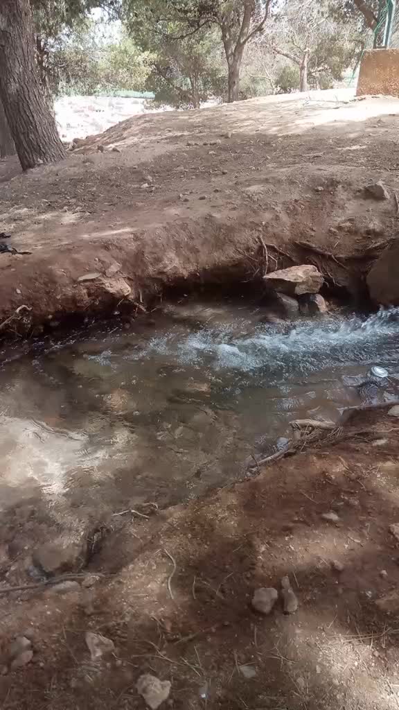 @user2lzn889a70