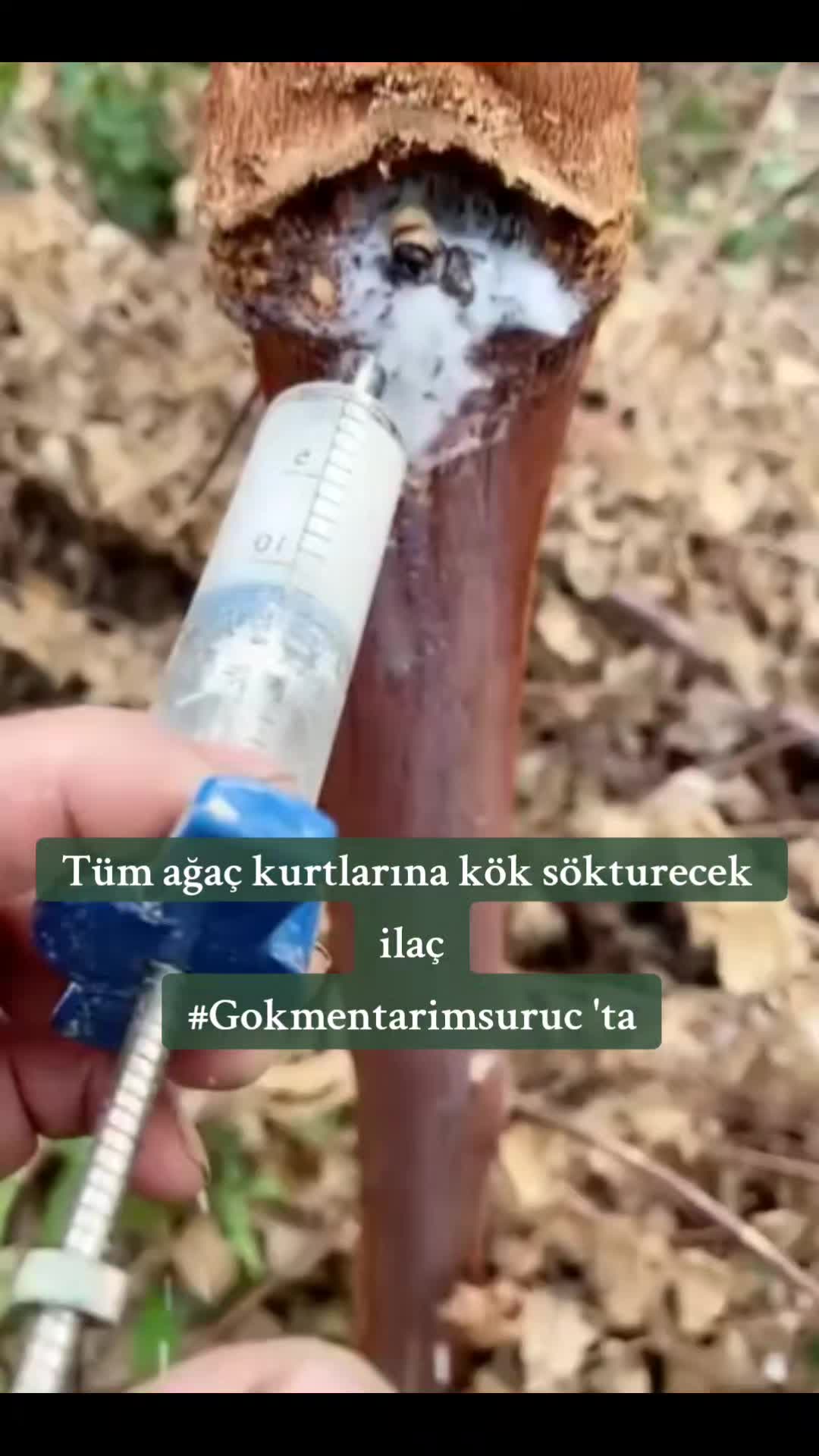 @BaranGokmen07