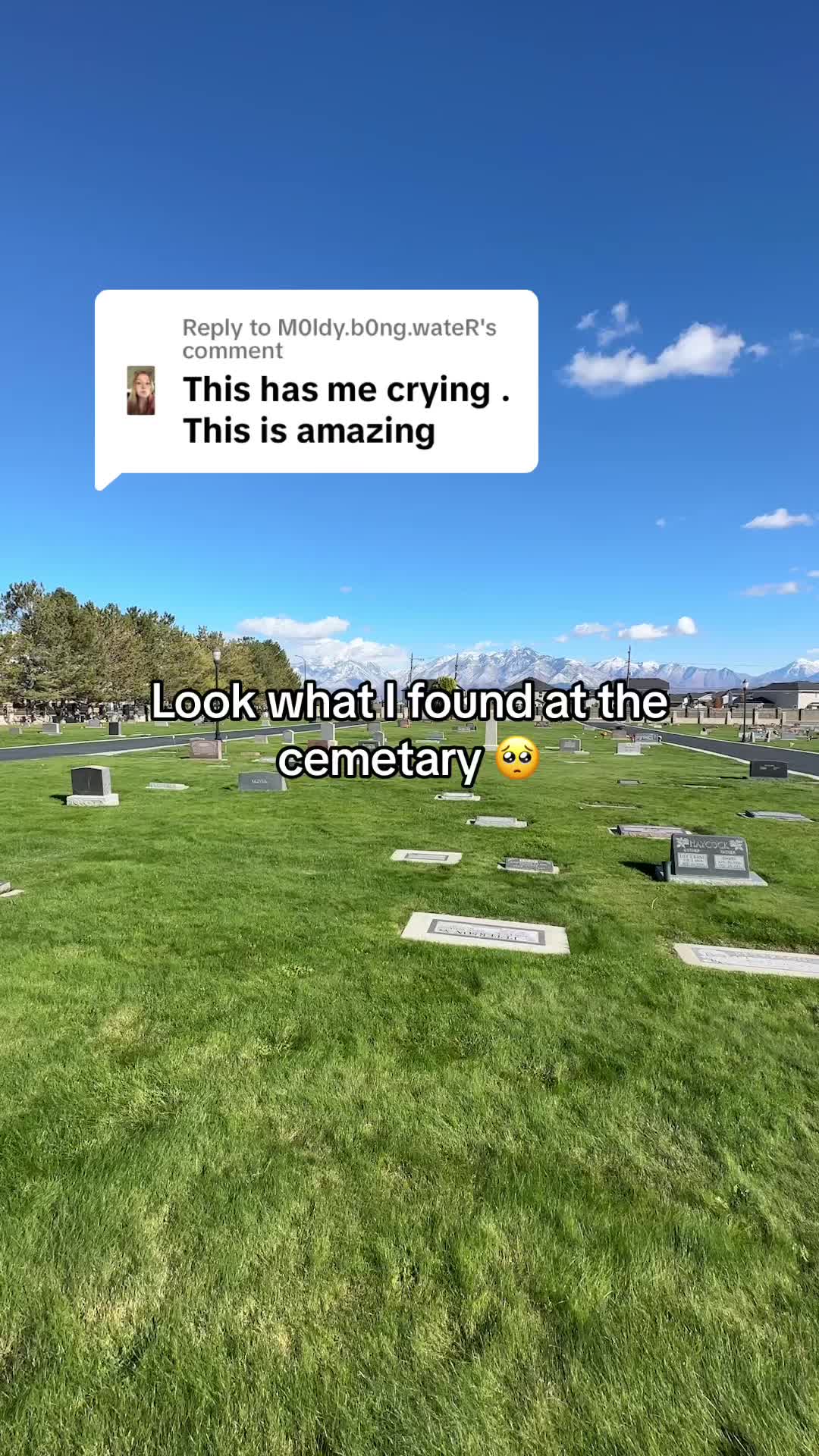 @Turning Hearts