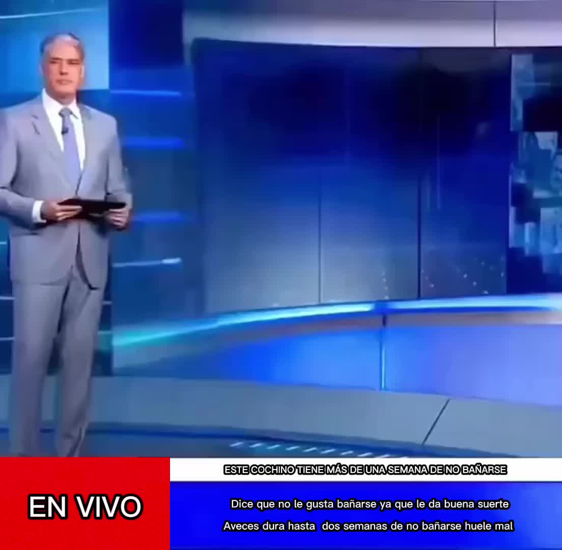 @Carmen Gamella Gómez
