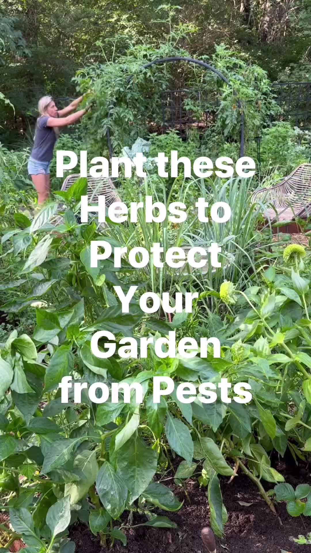 @Gardenary