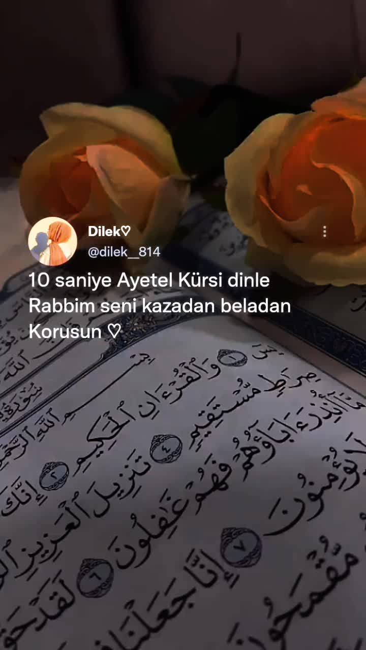 @𝓓𝓲𝓵𝓮𝓴 ♡