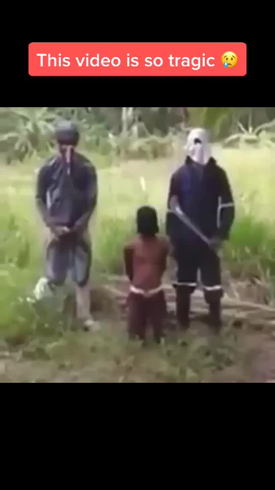 @Thicc Penguin