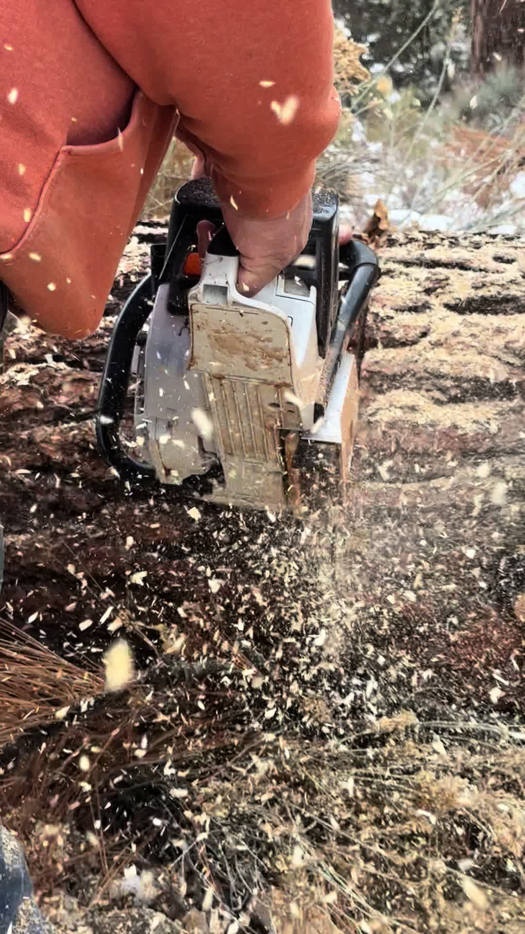 @CedarLightsFirewood