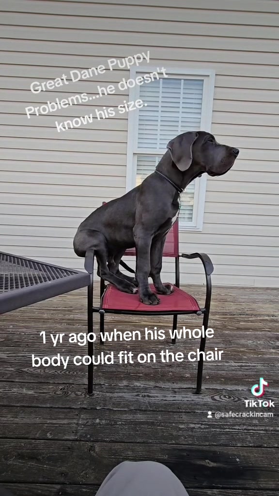 @SafeCrackinCam