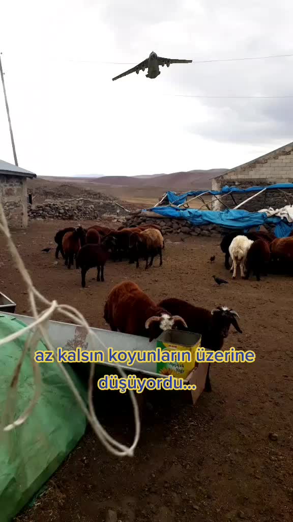 @yılmaz mustafa şen