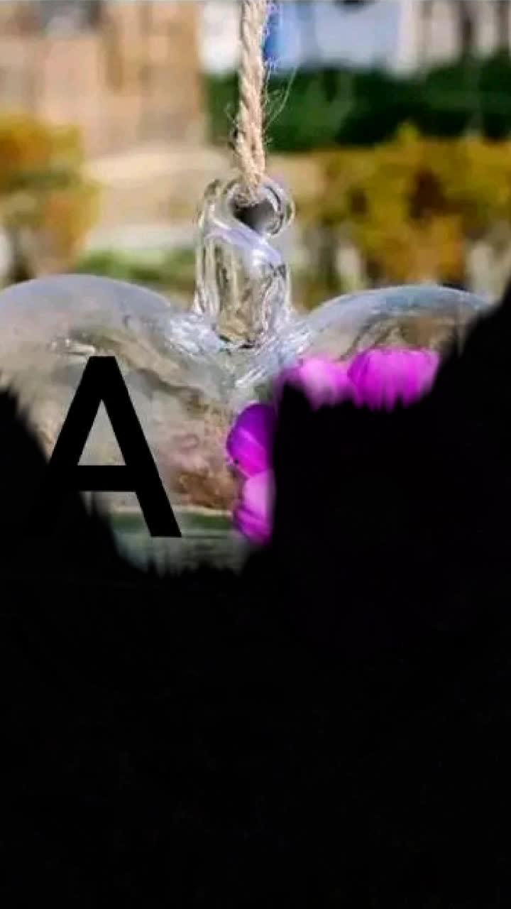 @Arti11499