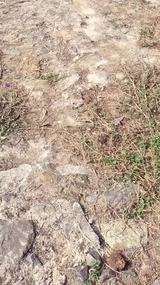 @abinash_sonu