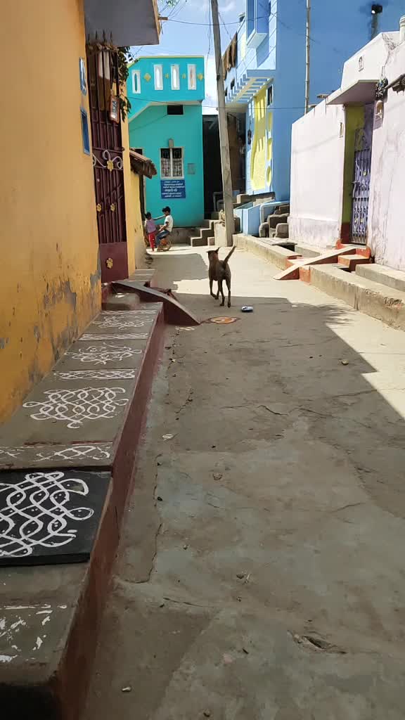 @kamalneela