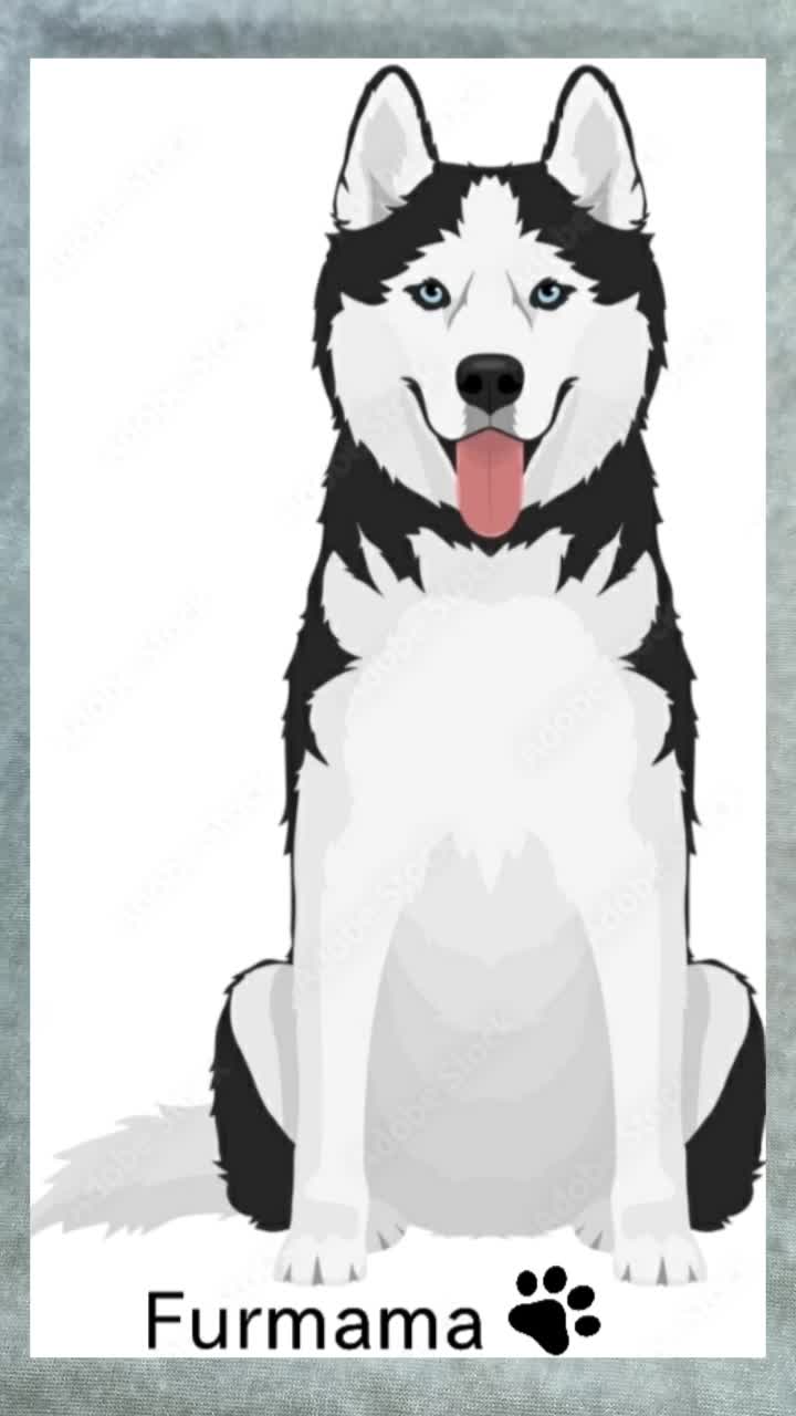 @Furmama