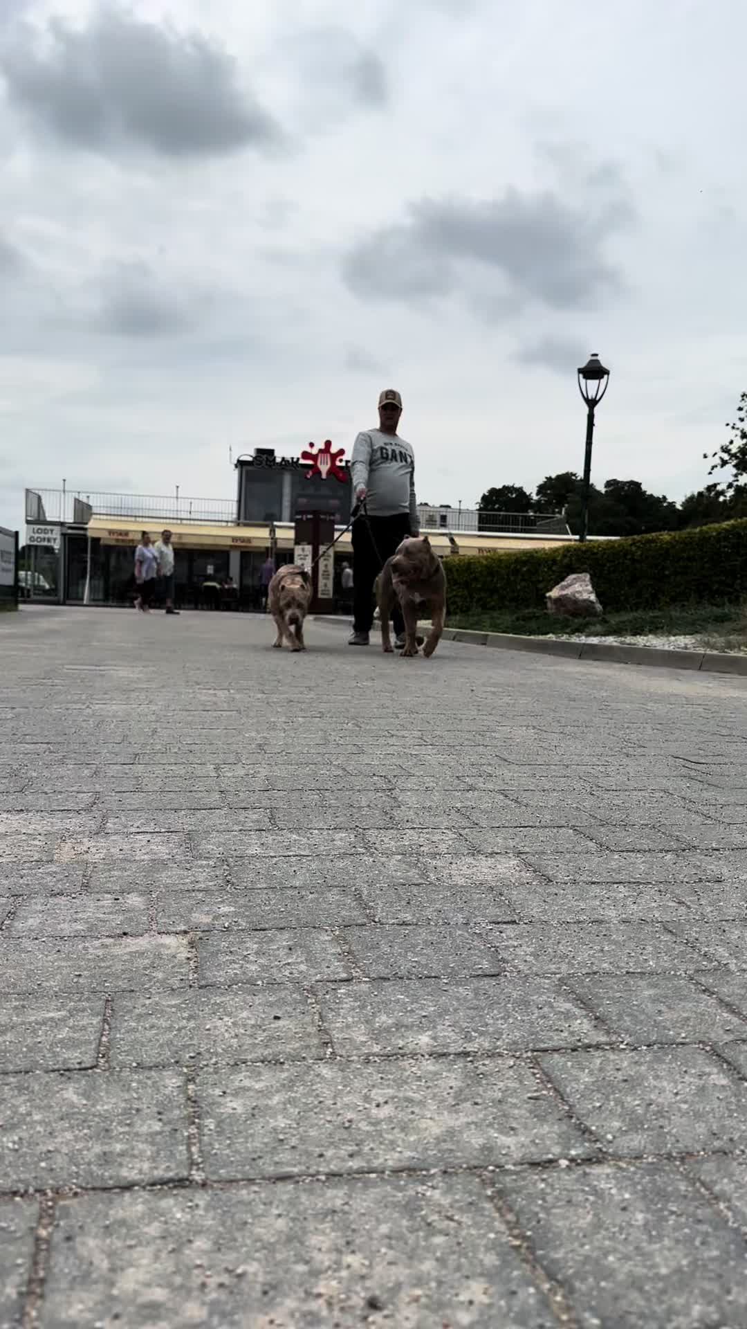 @TopQualityBullyKennel