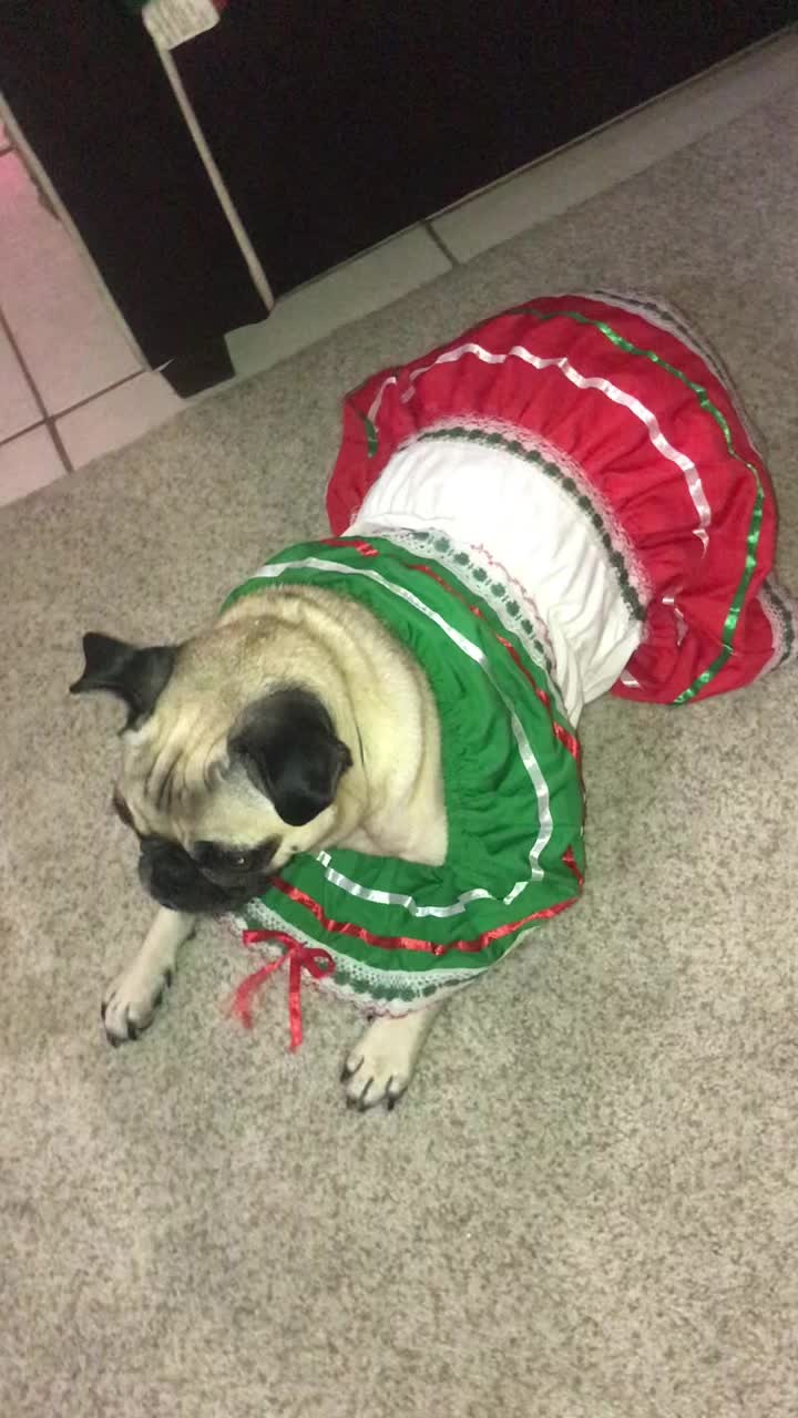 @En Memoria de Ninna Pug
