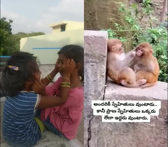 @user87688185238