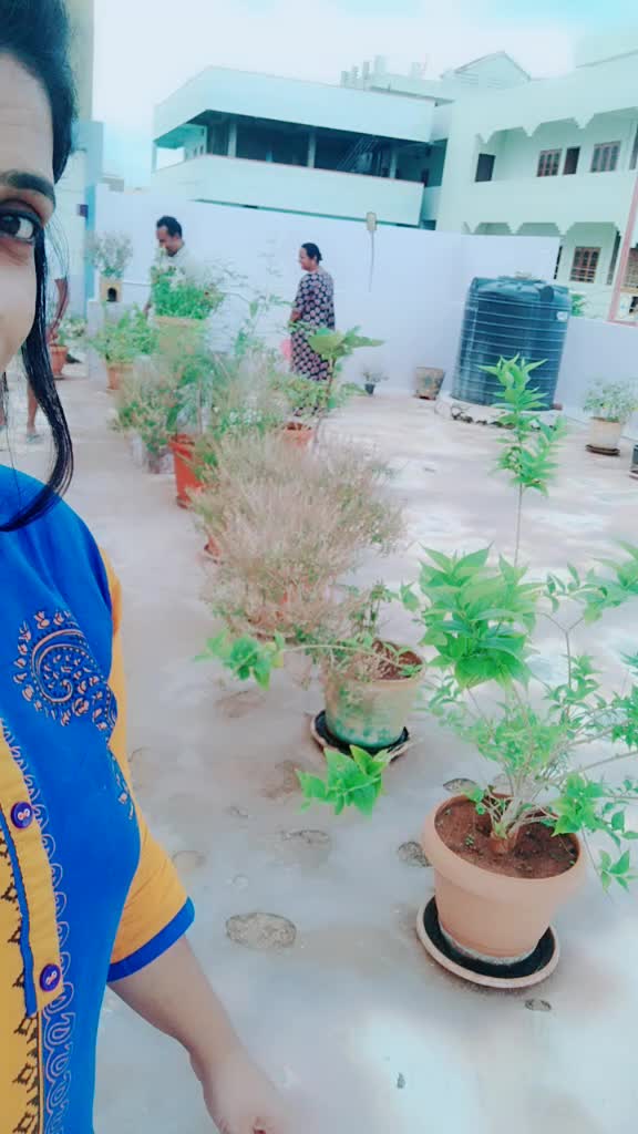 @Haritha Kutty