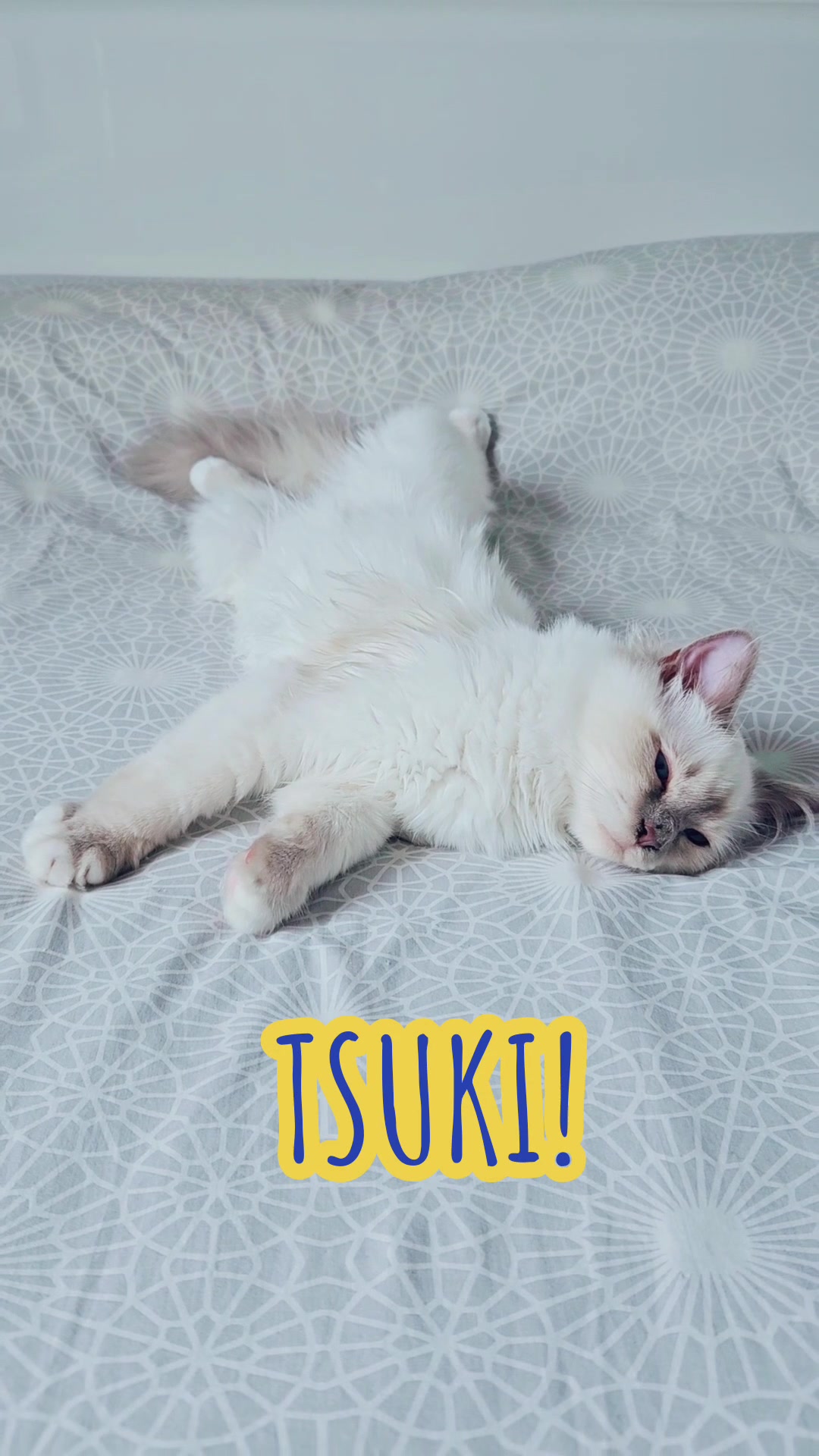@TsukiTheCat