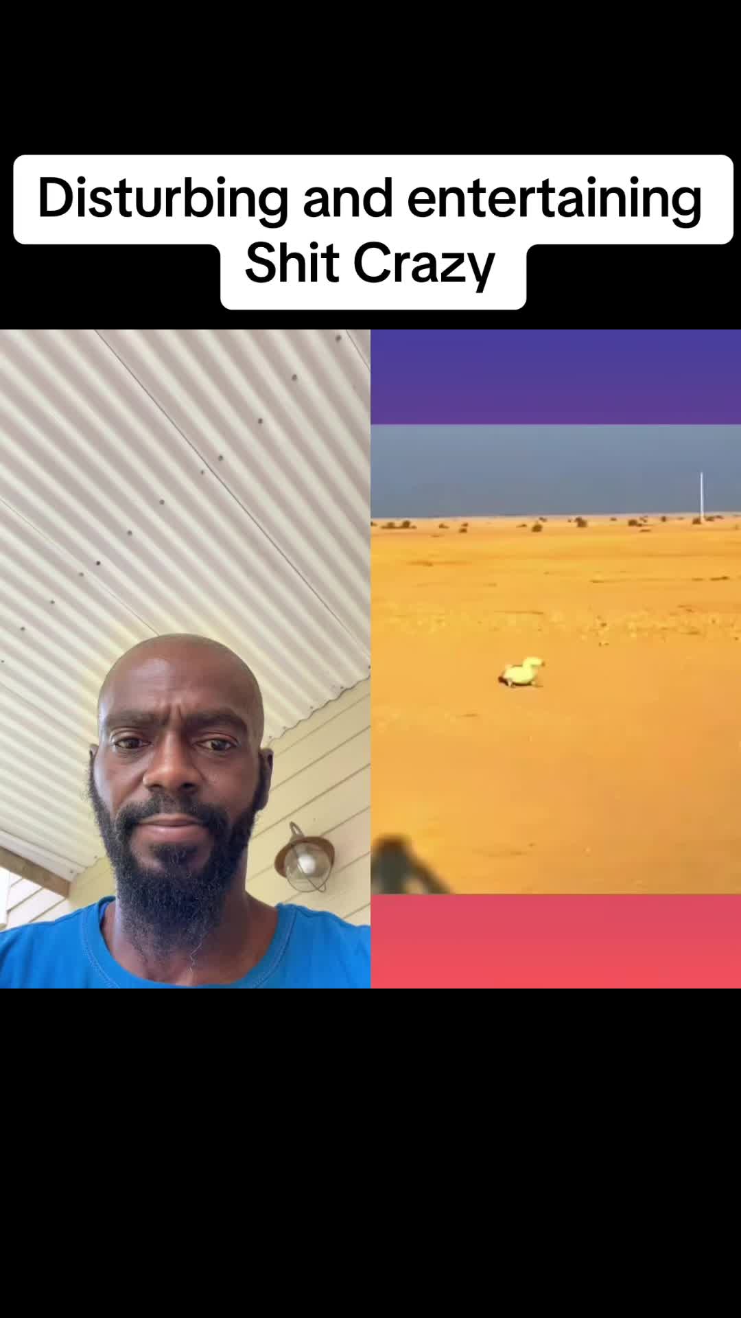 @D_kayon908