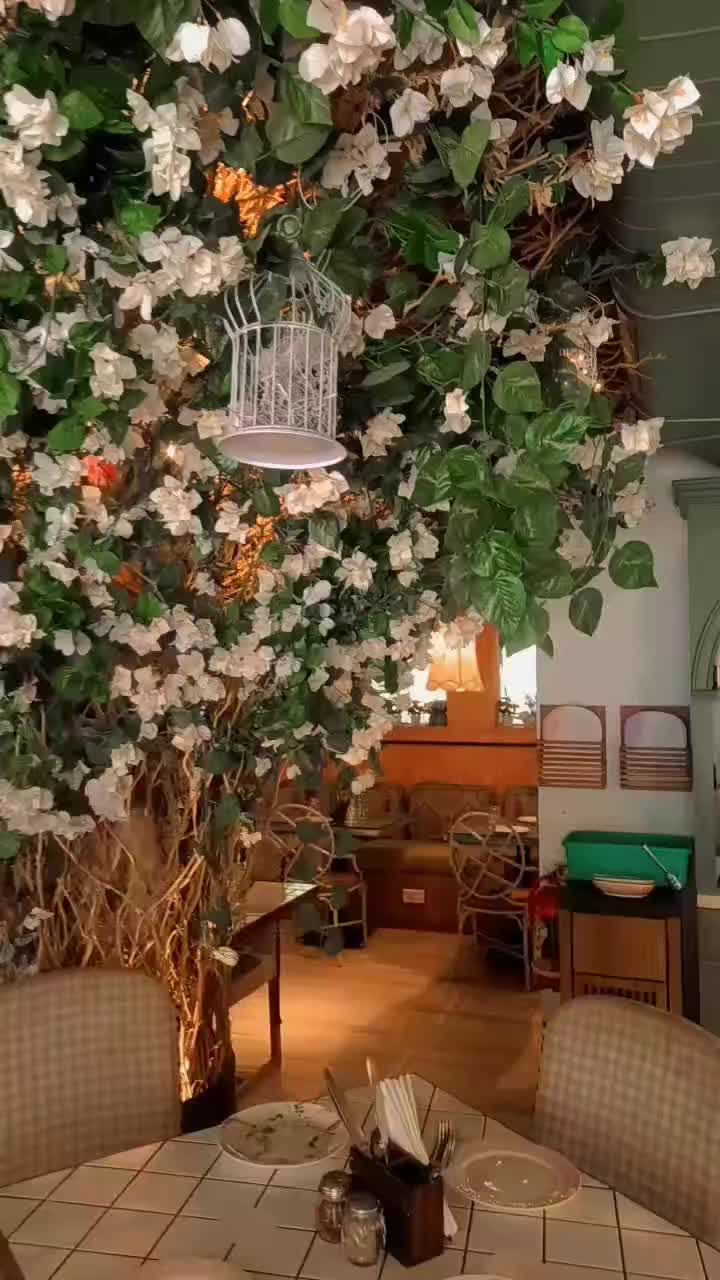 @mohantikhatari681