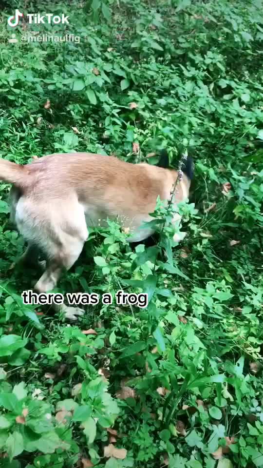@Melina