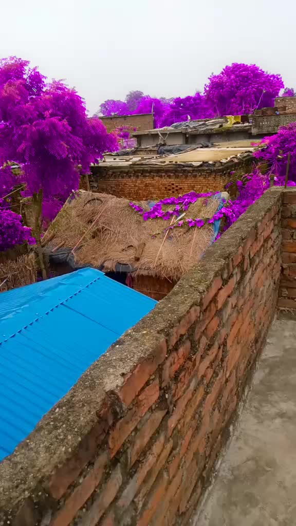 @Rameshbhai_076