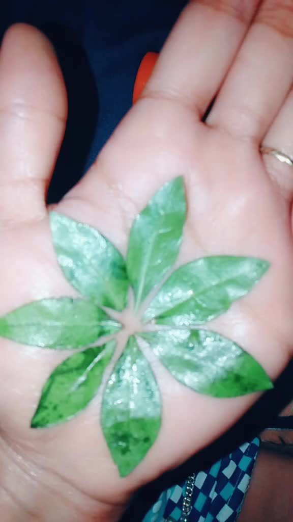 @nareanshu