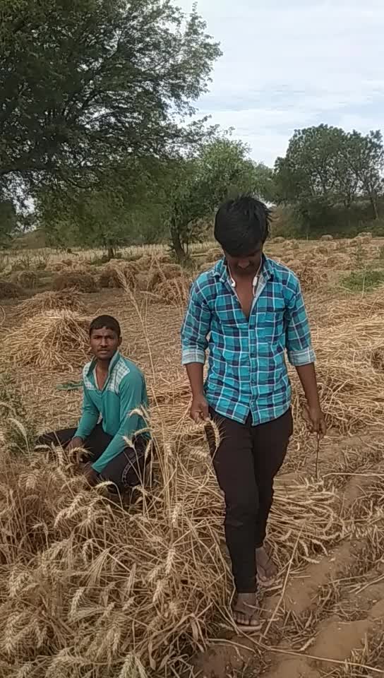 @Narender Sarewa