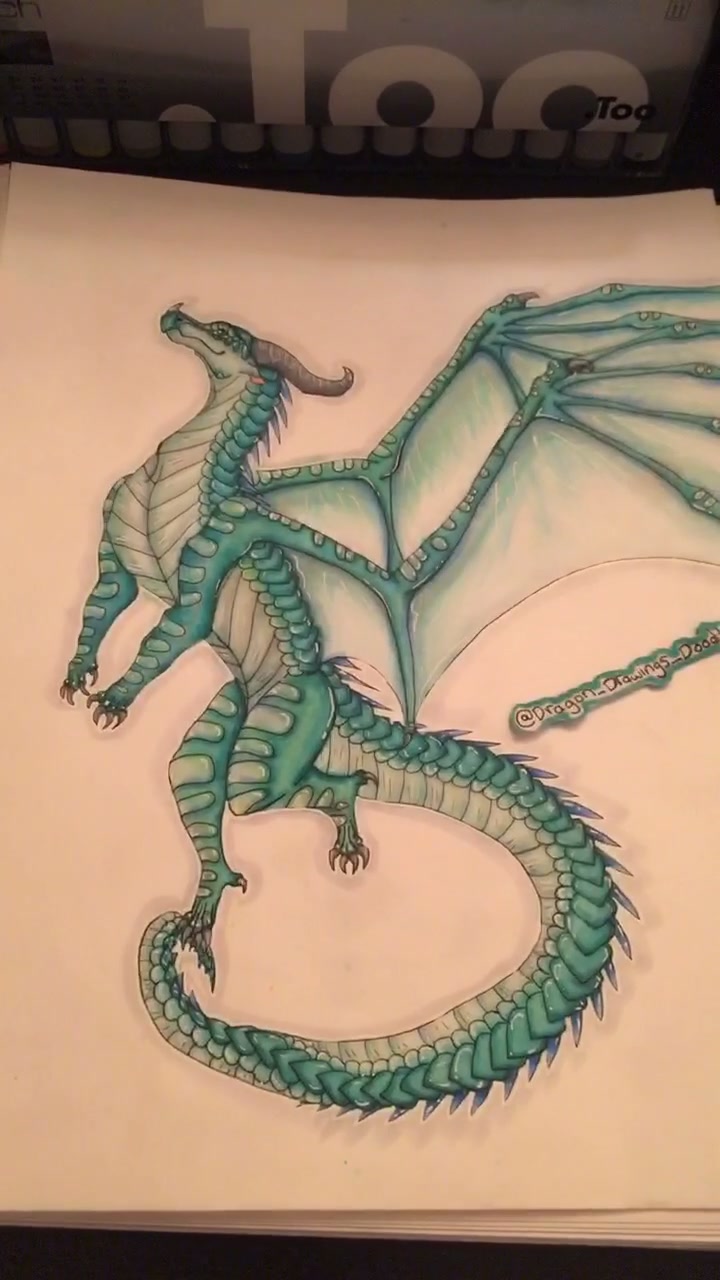 @💙Dragonart💙