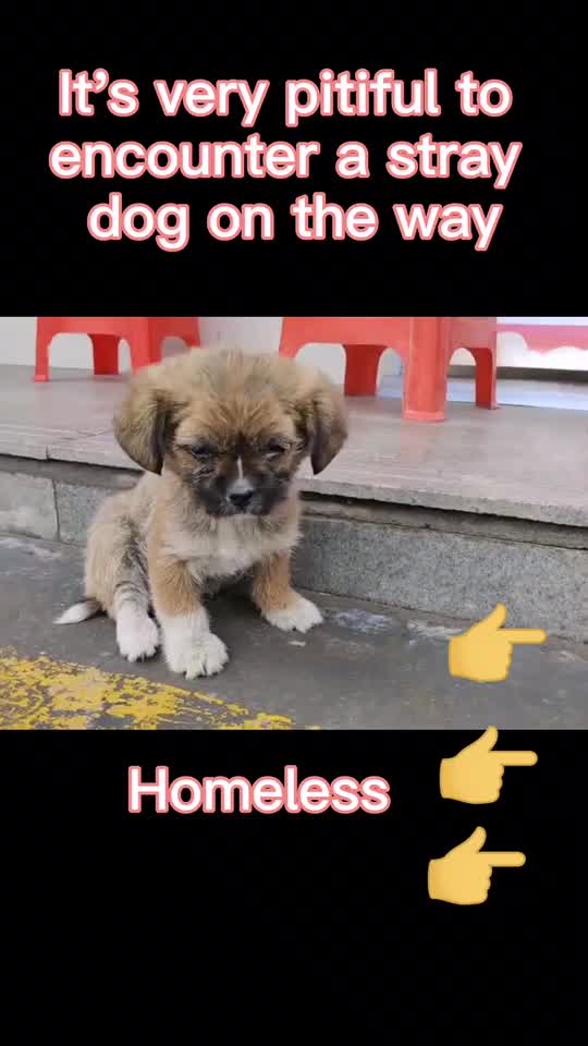 @user6203380714964