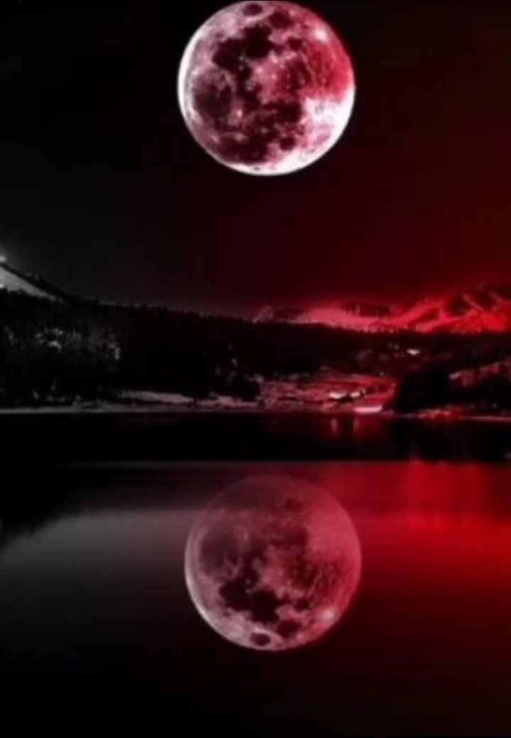 @le_labyrinthe_newtyy