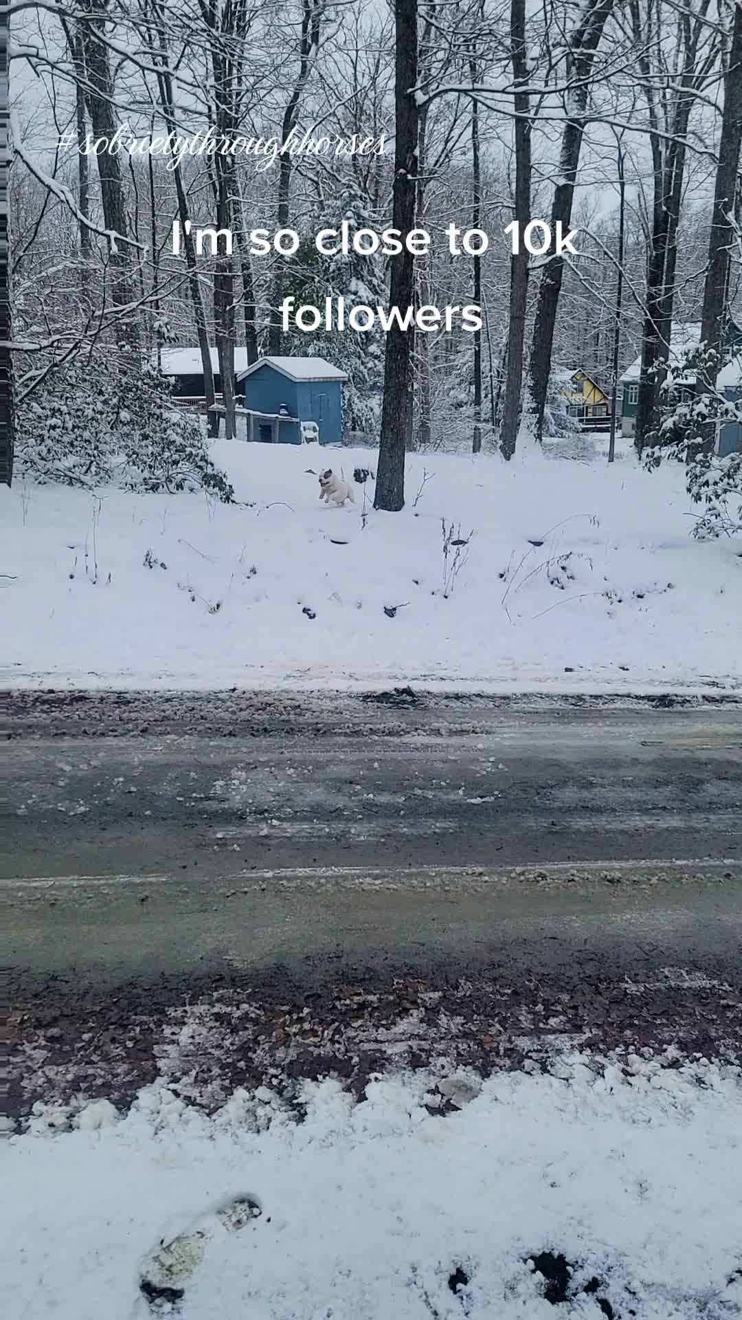 @Odin
