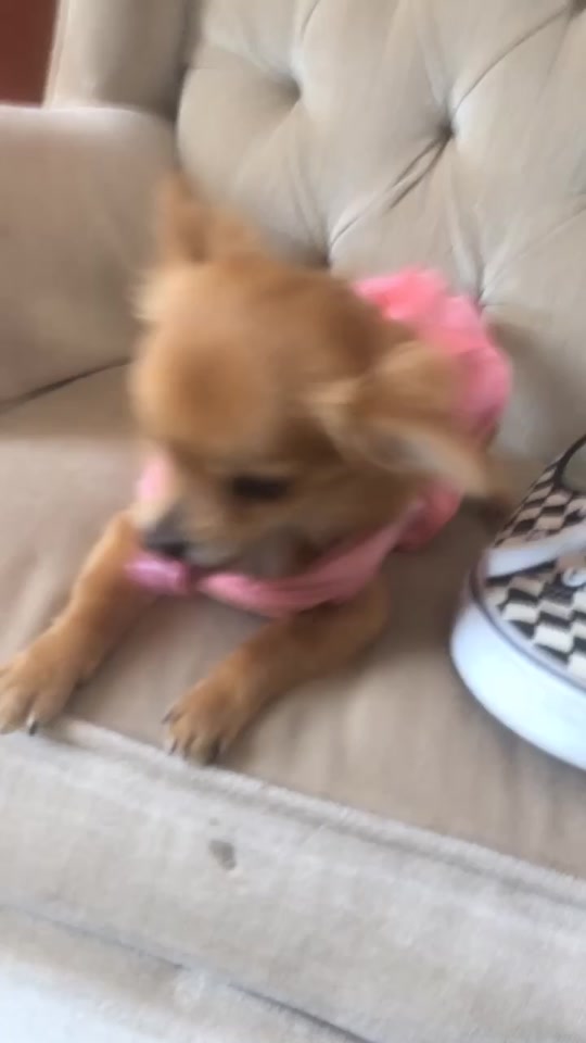 @Baby.tiny