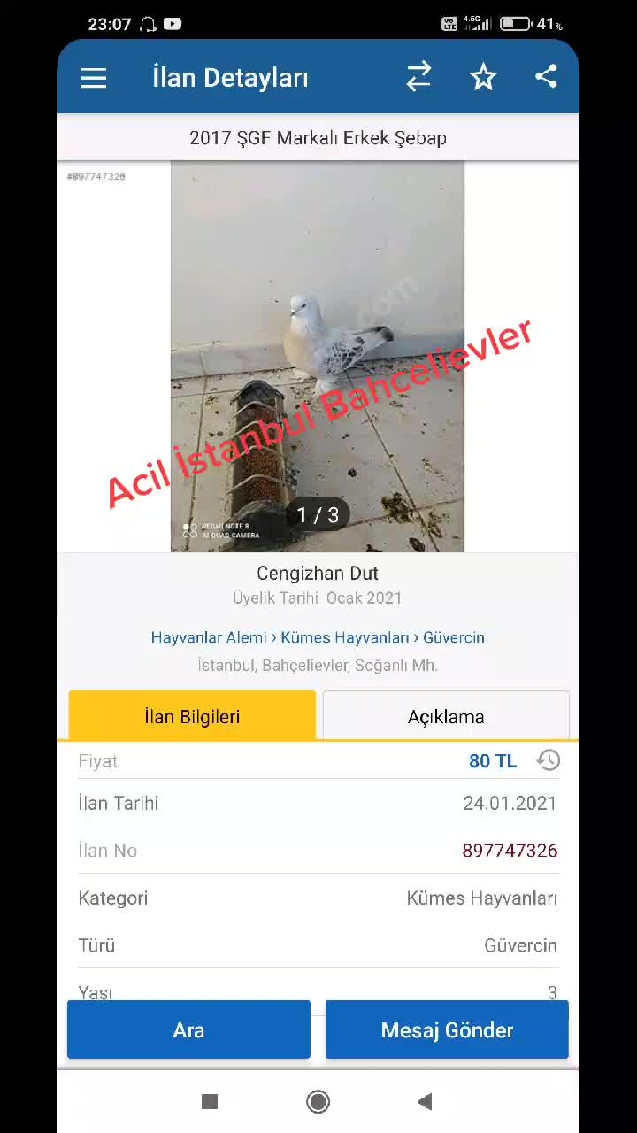 @Konyalı