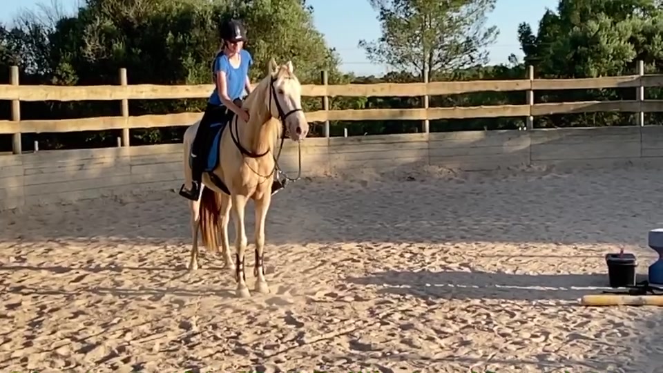@🐴💎🥰