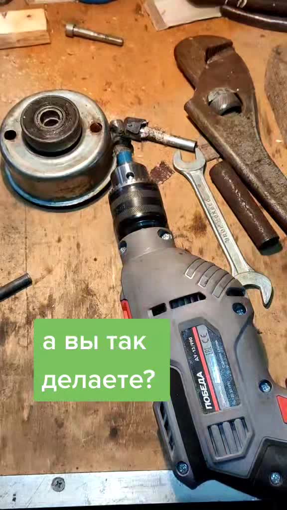 @life_vsele