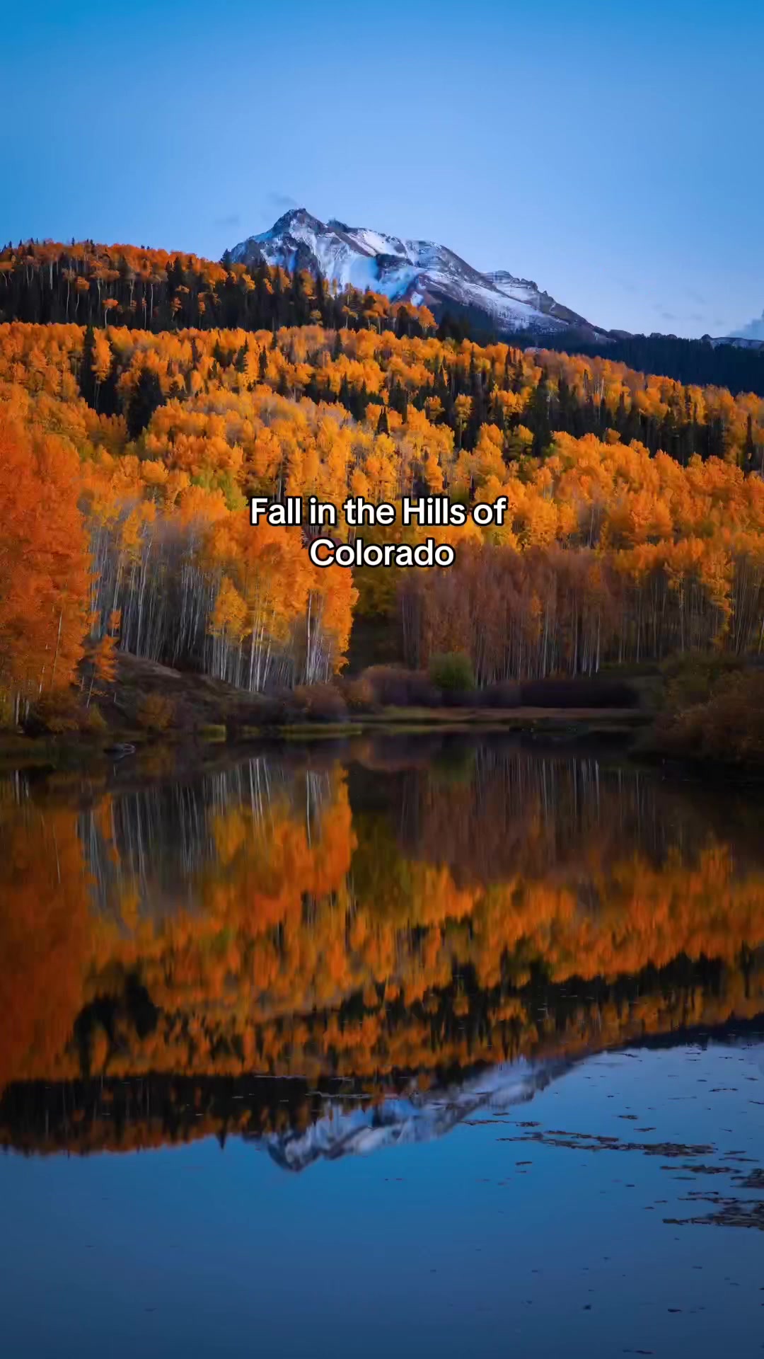 @_wilder._