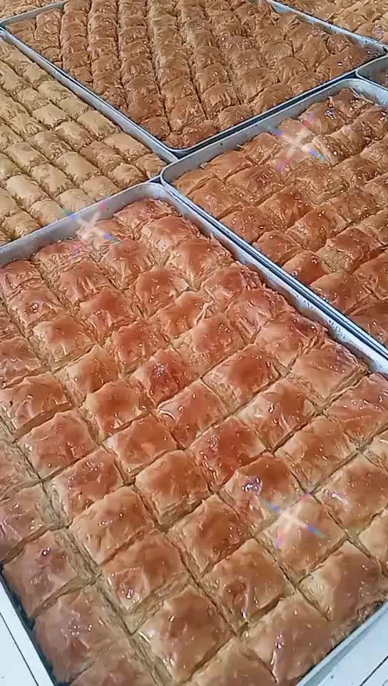 @Şevval Palamut