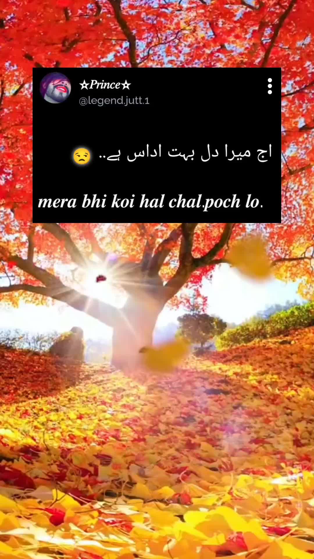 @⫷𝄞❤🇵 r̸i̸n̸c̸e̸★᭄ꦿ᭄ꦿ🚭.