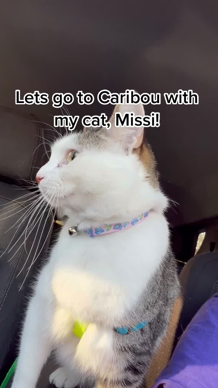 @pinklisey26