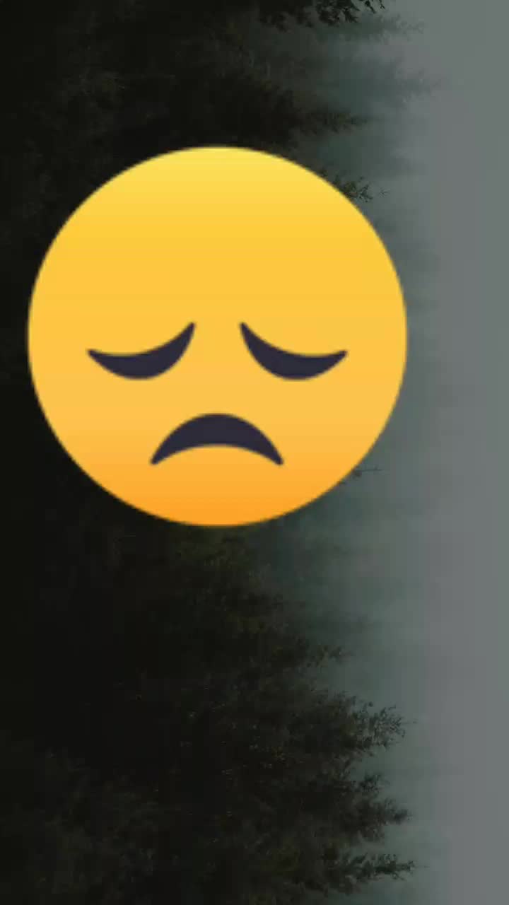 @๐ฃ__โค๐_๐