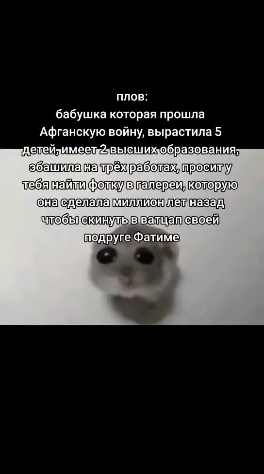 @Kavaimen