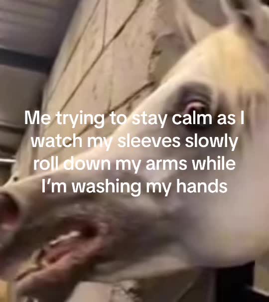 @LiterallyPicasso