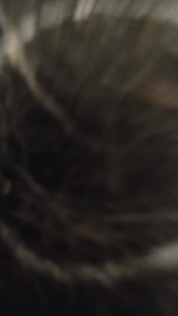 @Miki