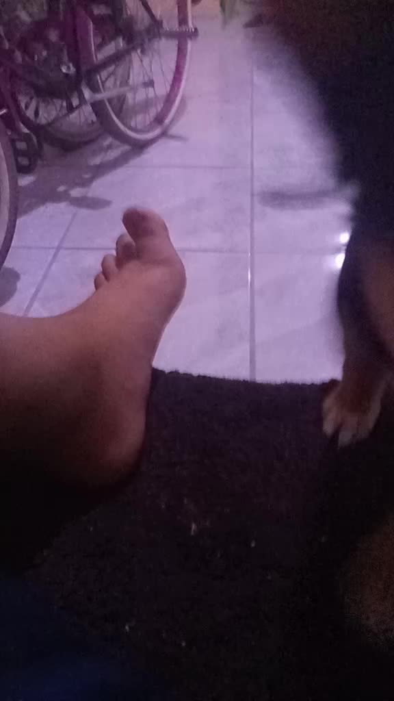 @editsdetodo