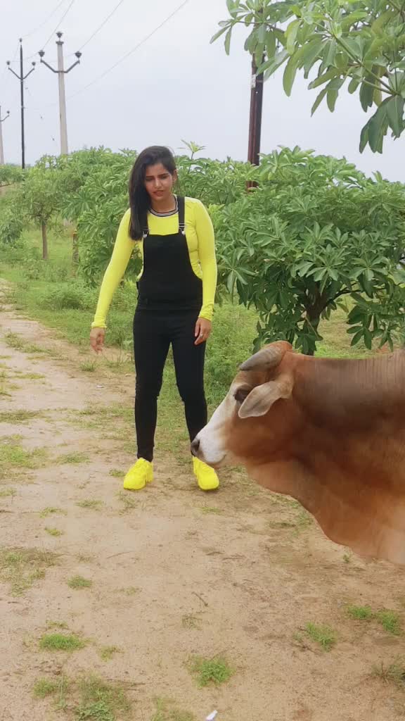 @Ajeeta kar