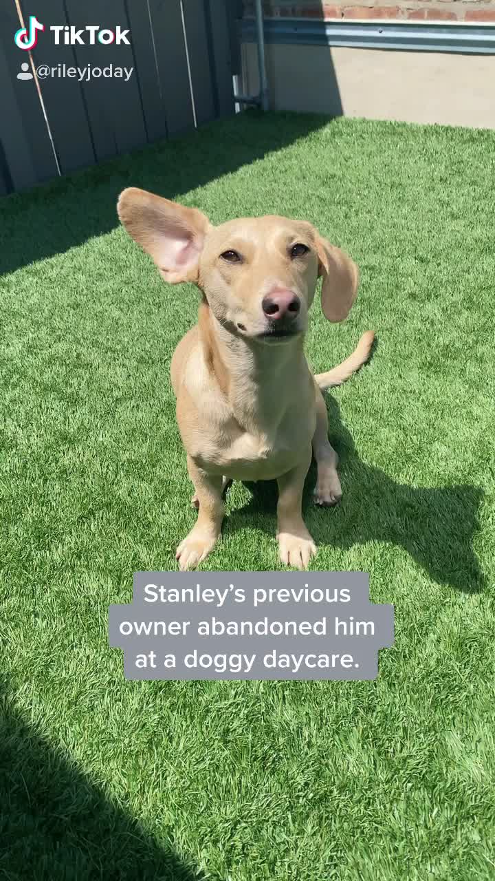 @Rileyoday