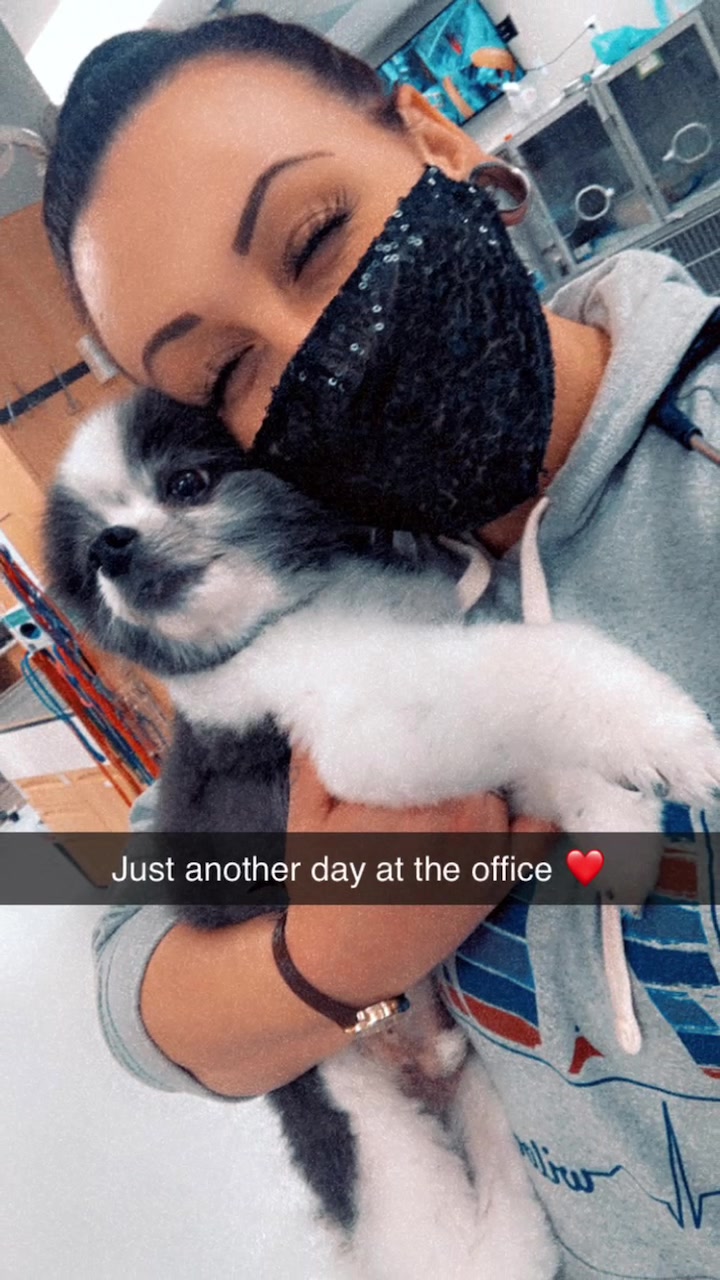 @Kylee.Coyote