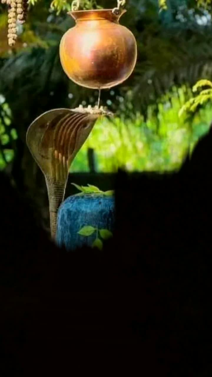 @pabankalyan93